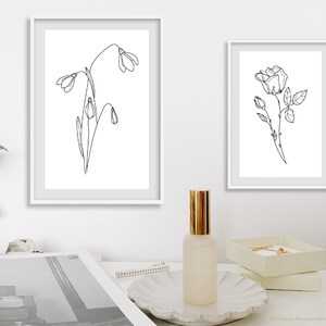 May include: Two black and white line drawings of flowers in white frames. The left frame shows a cluster of snowdrops. The right frame shows a single rose.