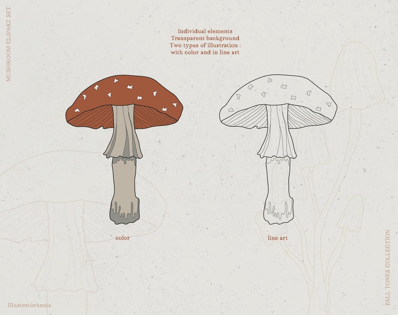 May include: A red and white mushroom with white spots on the cap. The mushroom is illustrated in both color and line art.