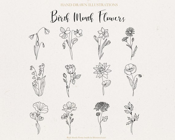 Birth Month Flowers SVG Bundle - Commercial Use - Floral SVG - Botanical Clipart Bundle - Birth Month Flower Clipart - Commercial Use - BM1