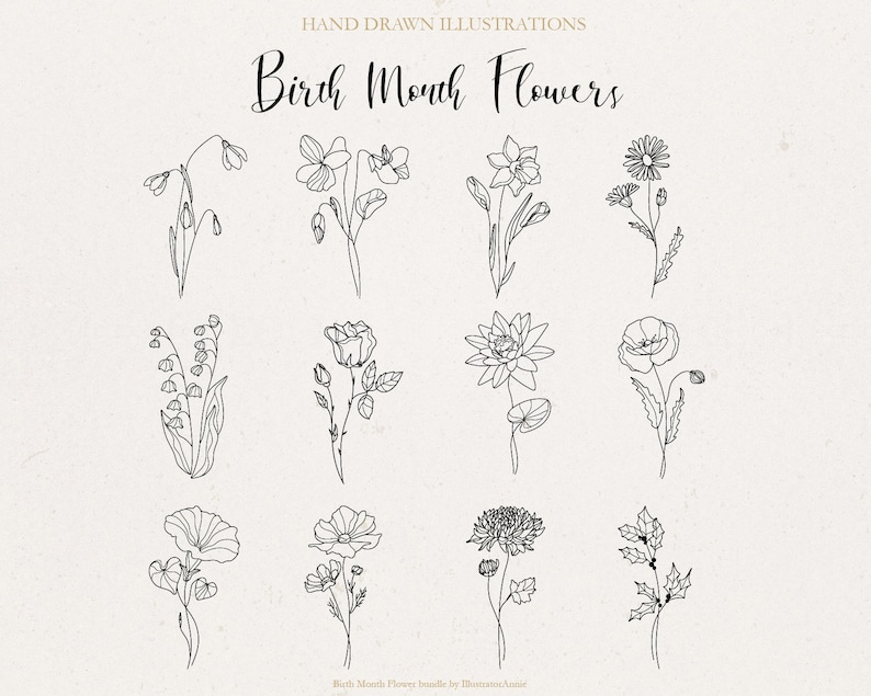 May include: A set of 12 hand-drawn illustrations of flowers, each representing a different birth month. The flowers are drawn in a simple, minimalist style with black lines on a white background. The text "Birth Month Flowers" is at the top of the image.