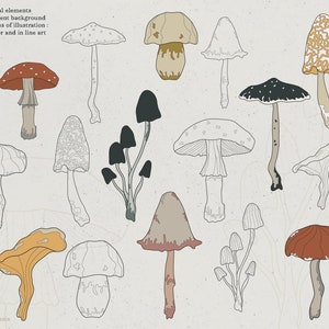 May include: A set of 15 mushroom illustrations in two styles: line art and color. The mushrooms are in various shapes and sizes, with some having red, brown, yellow, and orange accents. The illustrations are on a light beige background.
