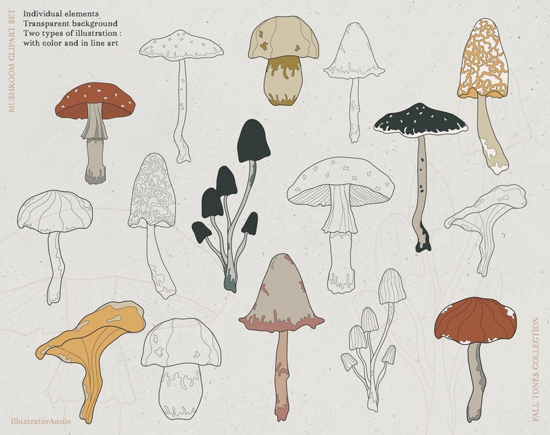 May include: A set of 15 mushroom illustrations in two styles: line art and color. The mushrooms are in various shapes and sizes, with some having red, brown, yellow, and orange accents. The illustrations are on a light beige background.