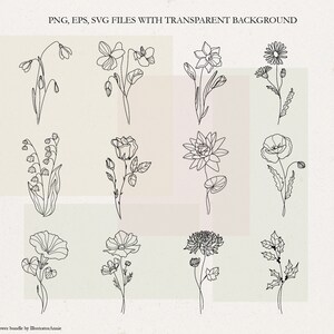 May include: A set of 12 black and white line drawings of flowers, each representing a different month of the year. The flowers are drawn in a simple, minimalist style.