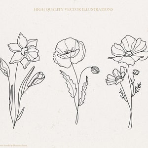 May include: Line art illustrations of three different flowers: a daffodil, a poppy, and a cosmos. The flowers are drawn in a simple, minimalist style.