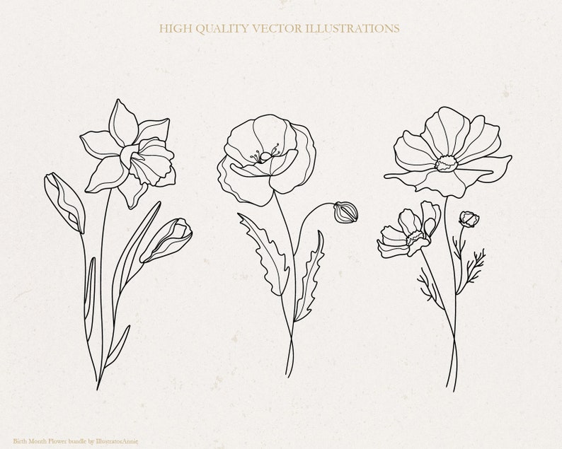 May include: Line art illustrations of three different flowers: a daffodil, a poppy, and a cosmos. The flowers are drawn in a simple, minimalist style.