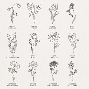 May include: A black and white line drawing illustration of 12 different flowers, each representing a month of the year. The flowers are labeled with their common names and the month they represent. The flowers are drawn in a simple, elegant style.