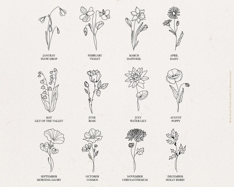 May include: A black and white line drawing illustration of 12 different flowers, each representing a month of the year. The flowers are labeled with their common names and the month they represent. The flowers are drawn in a simple, elegant style.