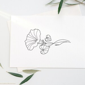 May include: A black and white line drawing of a morning glory flower with leaves. The flower is facing the right side of the image and has a trumpet-shaped bloom.