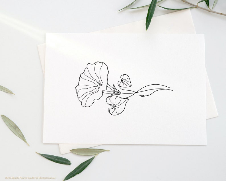 May include: A black and white line drawing of a morning glory flower with leaves. The flower is facing the right side of the image and has a trumpet-shaped bloom.