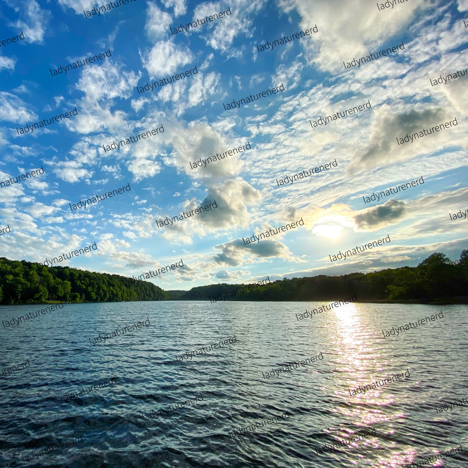 PRINTABLE DOWNLOAD on the Lake Pleasant Lake, Champion, NY Etsy