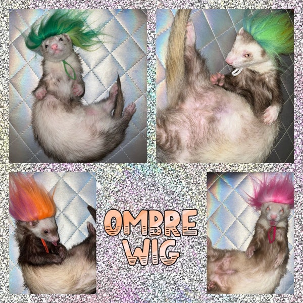 Ombre Ferret Wig