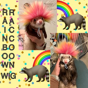 Rainbow Raccoon Wig