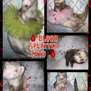 Tutu furet avec éclaboussures de sang