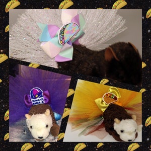 Tutu tacos pour furet ou autre petit animal