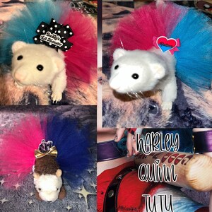 Tutu pour furet ou petit animal