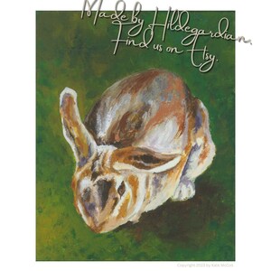 Creme d&#39;Argent Rabbit Art Print