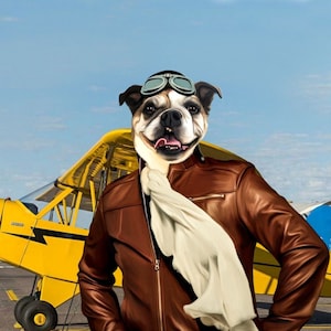 Dog aviator sunglasses top