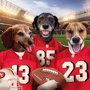 Three Pets Portrait, Sports Pet Custom Portrait, Pet Lover Gift