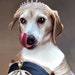 see more listings in the Royal Dog Portrait section