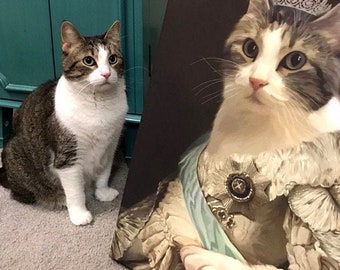 Christmas Gift, Custom Cat Portrait, gift for pet lover, your pet as Queen or Princess