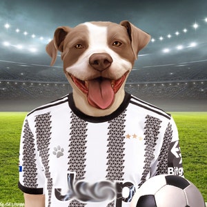 Soccer Dog, Custom Pet Portrait, Football Lover Gift, English Soccer image 2