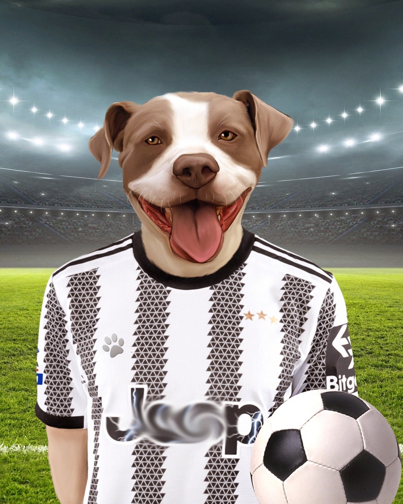 Soccer Dog, Custom Pet Portrait, Football Lover Gift, English Soccer image 2