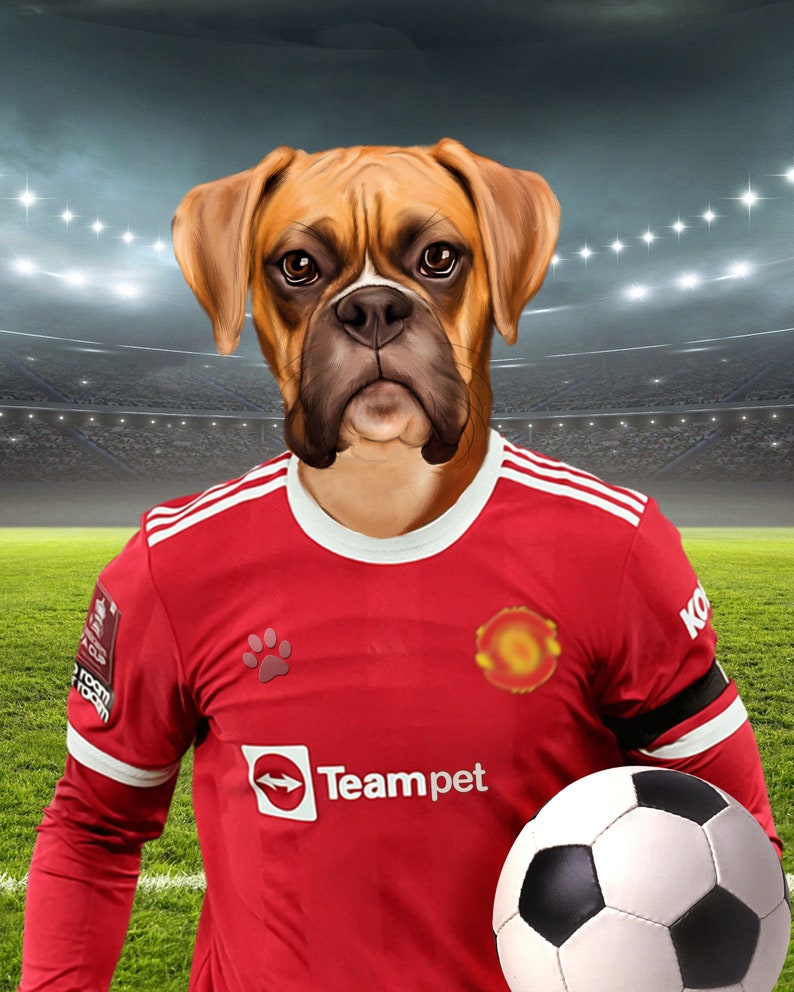 Soccer Dog, Custom Pet Portrait, Football Lover Gift, English Soccer image 4