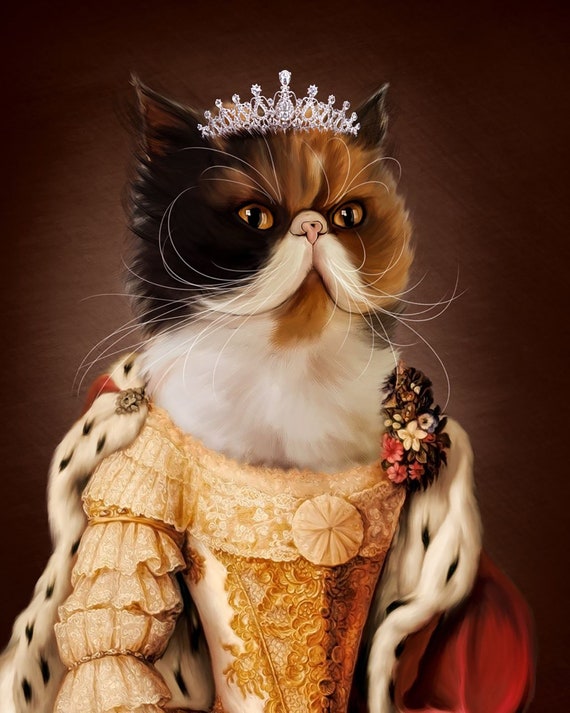 Royal persian shop cat