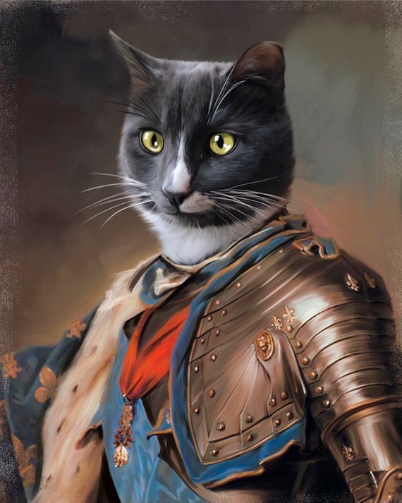 Knight Cat Portrait pet lover gift Custom cat pillow | Etsy