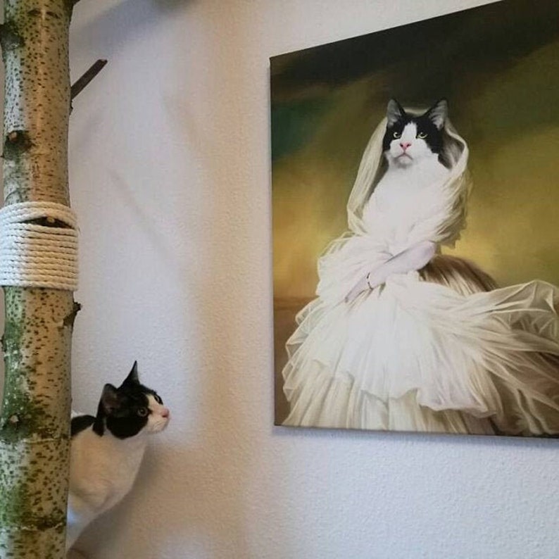 May include: A black and white cat sits on a tree branch, looking at a painting of a cat dressed in a white wedding gown.