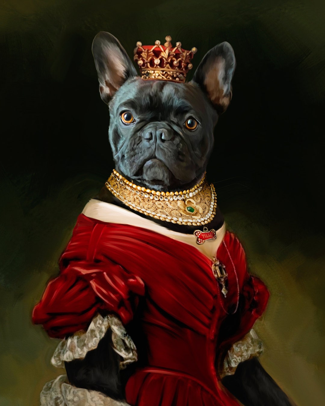 American Bulldog Renaissance Bulldog Breeders English Bulldog