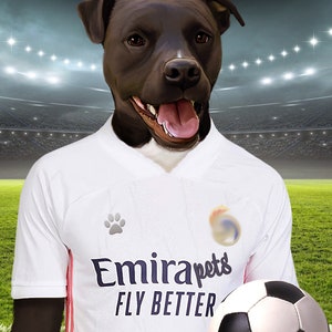 Soccer Dog, Custom Pet Portrait, Football Lover Gift, English Soccer image 6
