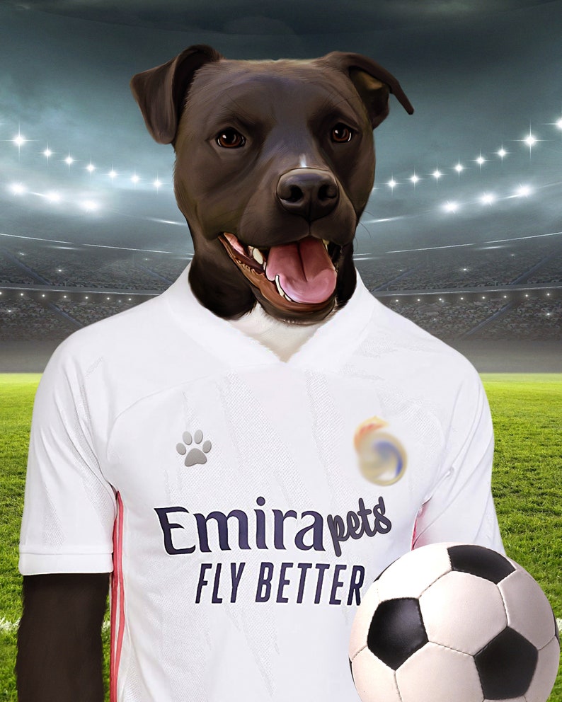 Soccer Dog, Custom Pet Portrait, Football Lover Gift, English Soccer image 6