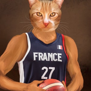 May include: A digital illustration of an orange tabby cat wearing a navy blue basketball jersey with "FRANCE" and the number "27" on it. The cat is holding a red and orange basketball with the word "molten" visible.