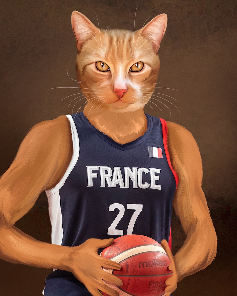 May include: A digital illustration of an orange tabby cat wearing a navy blue basketball jersey with "FRANCE" and the number "27" on it. The cat is holding a red and orange basketball with the word "molten" visible.