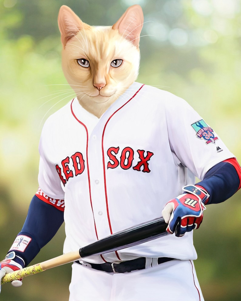 May include: A digital illustration of a cat wearing a white baseball jersey with "RED SOX" in red lettering. The cat is holding a baseball bat and wearing blue and red gloves and arm sleeves.