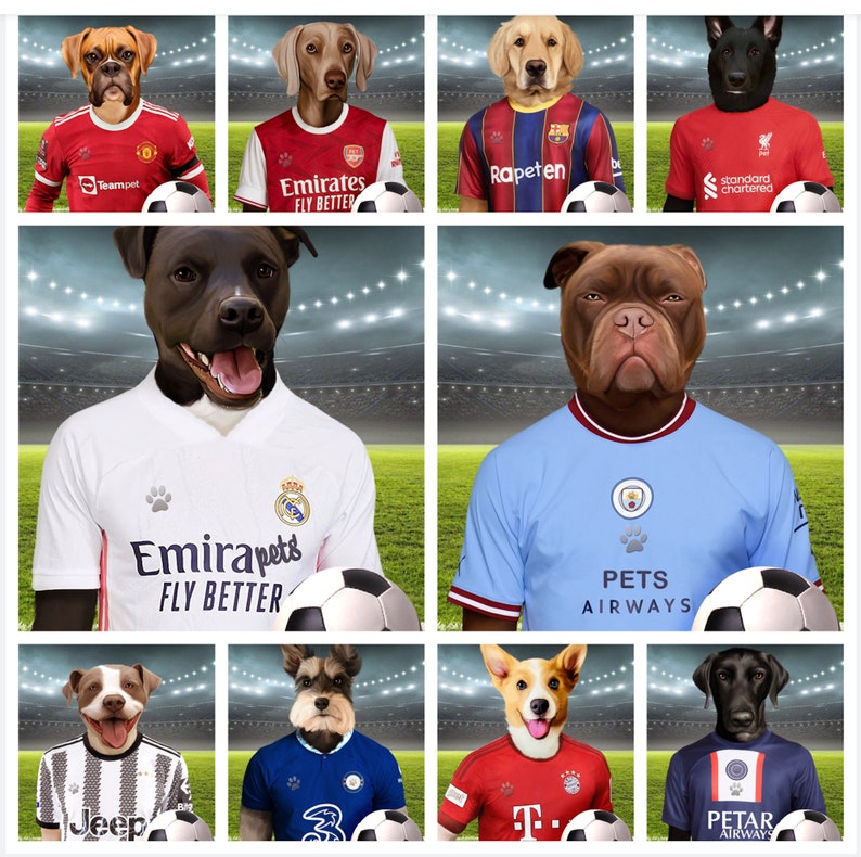 Soccer Dog, Custom Pet Portrait, Football Lover Gift, English Soccer image 9