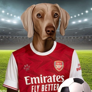 Soccer Dog, Custom Pet Portrait, Football Lover Gift, English Soccer