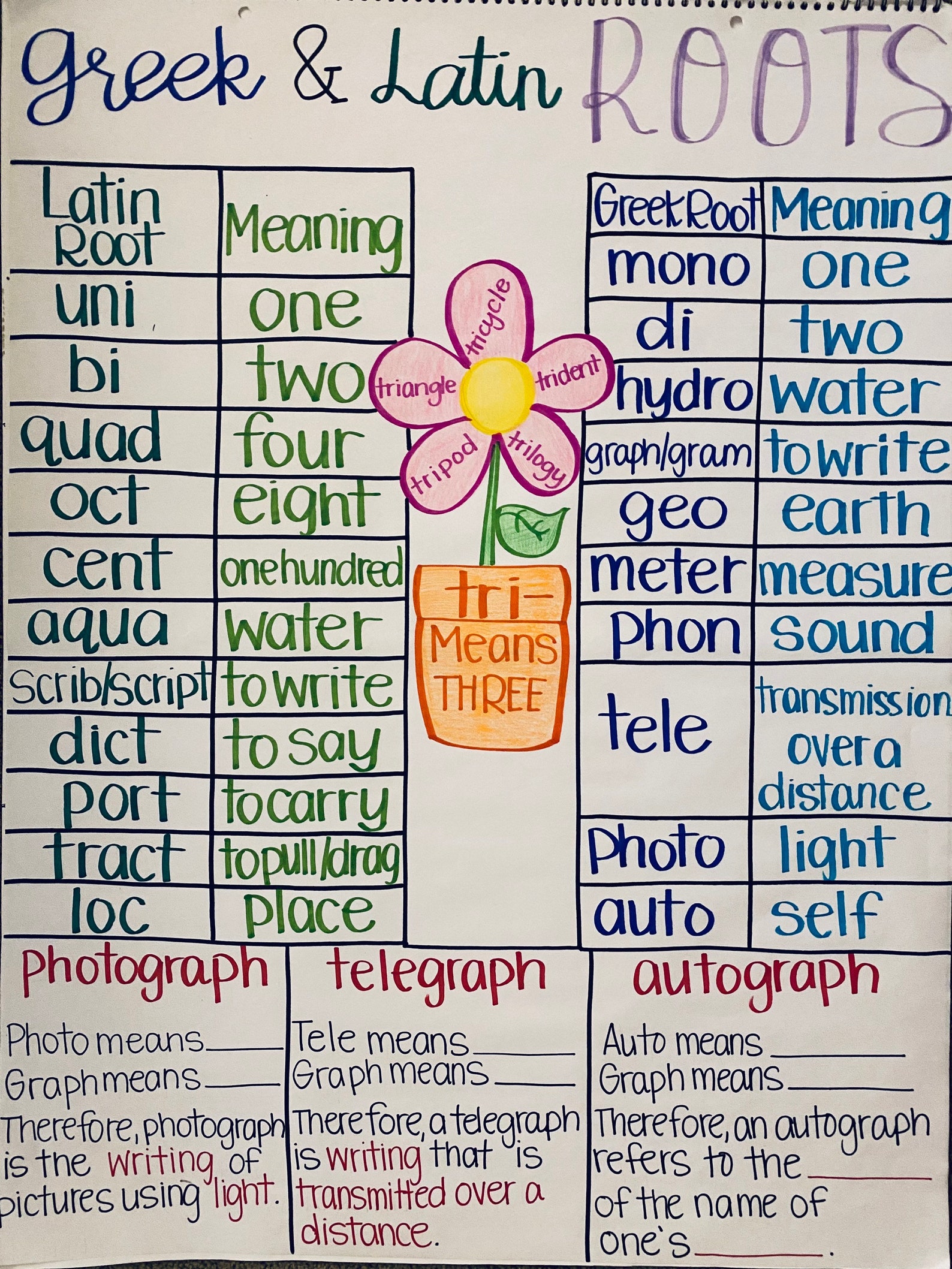 Greek & Latin Root Anchor Chart Etsy