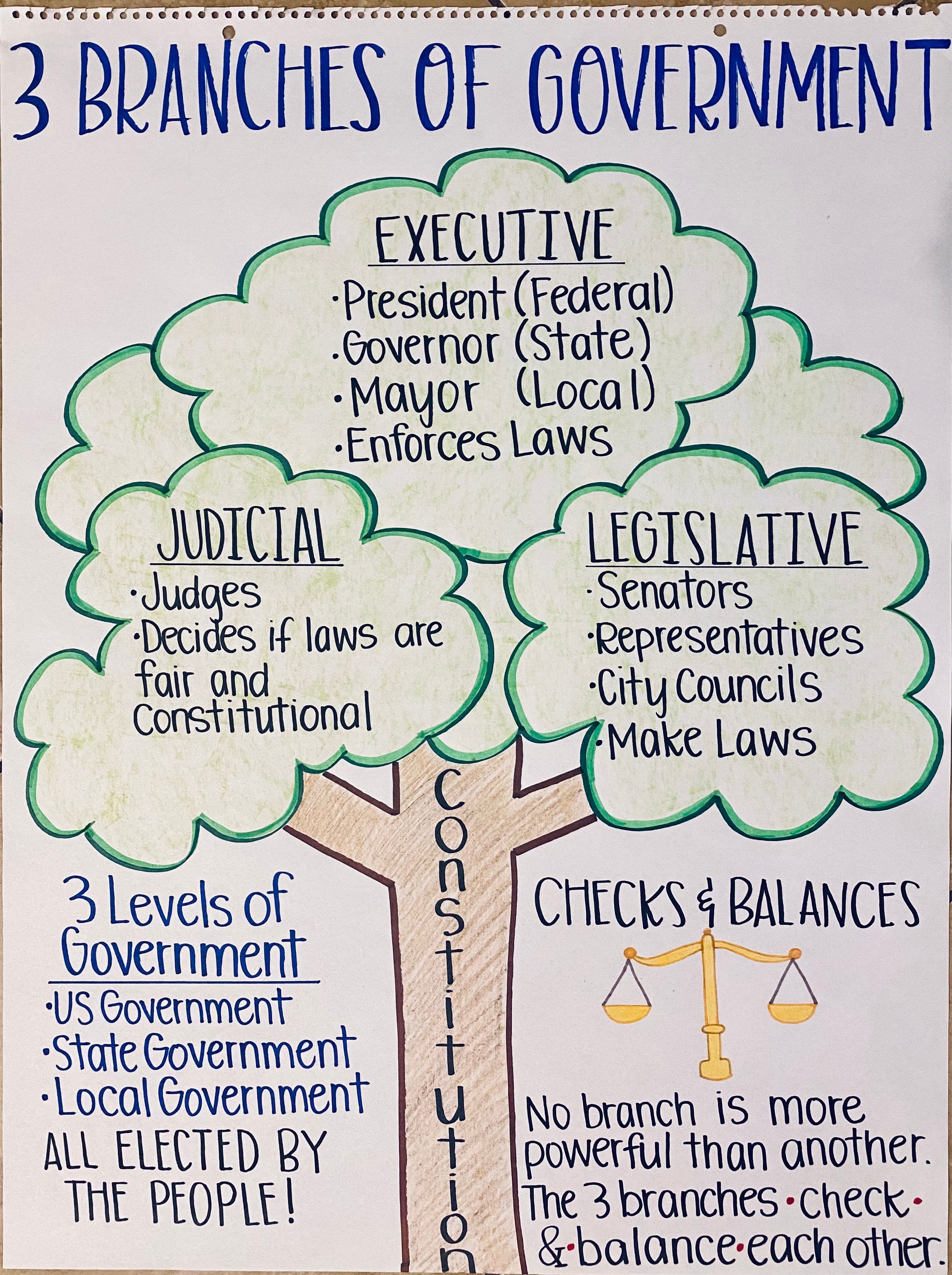 checks and balances chart