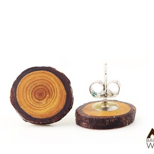 Könnte beinhalten: Ein Paar Holzohrringe mit einem silbernen Stift und einer Rückseite. Die Ohrringe bestehen aus einer Scheibe Holz mit sichtbarer Maserung. Das Holz ist hellbraun mit dunkleren braunen Ringen.