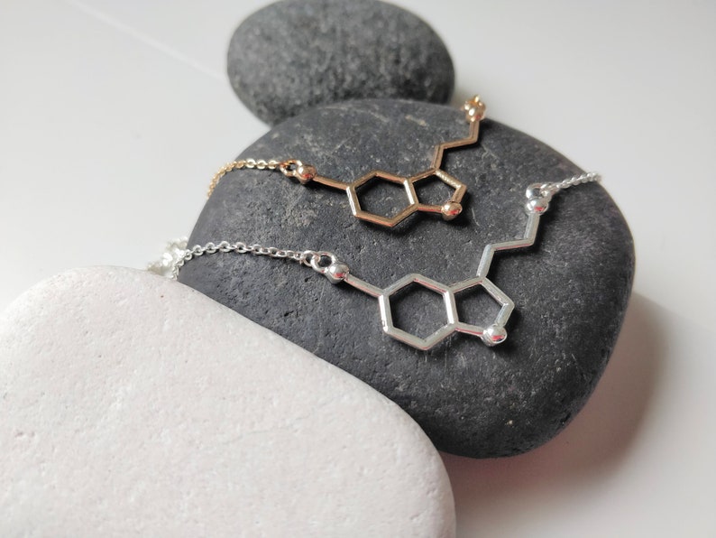 May include: Two necklaces with a chemical structure pendant. One necklace is silver and the other is gold.