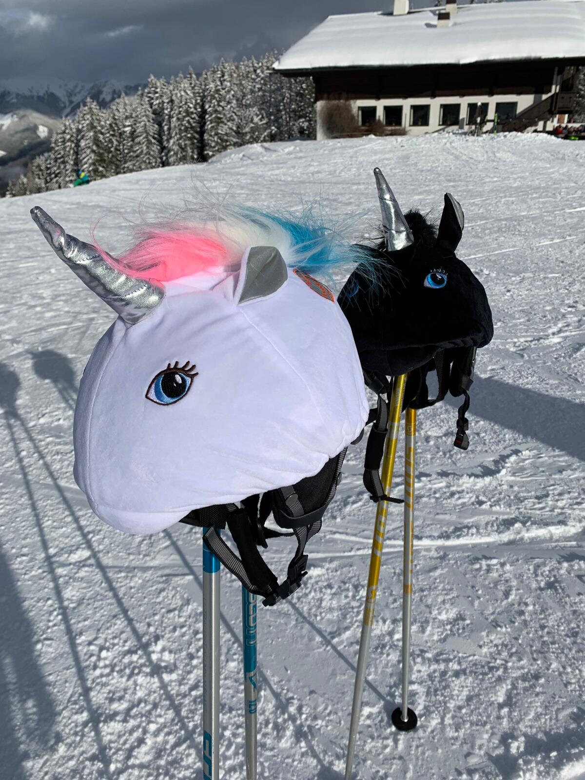 Las 6 mejores fundas casco esqui unicornio 