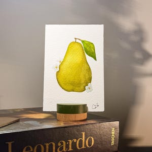 Pear Watercolor Painting: Original Fruit Still Life (4x6)