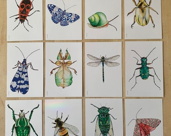 INSECTS - 12 postcards - postal cards insects- bugs - butterfly - butterfly - beetle