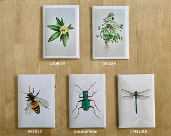 Greeting cards - various themes