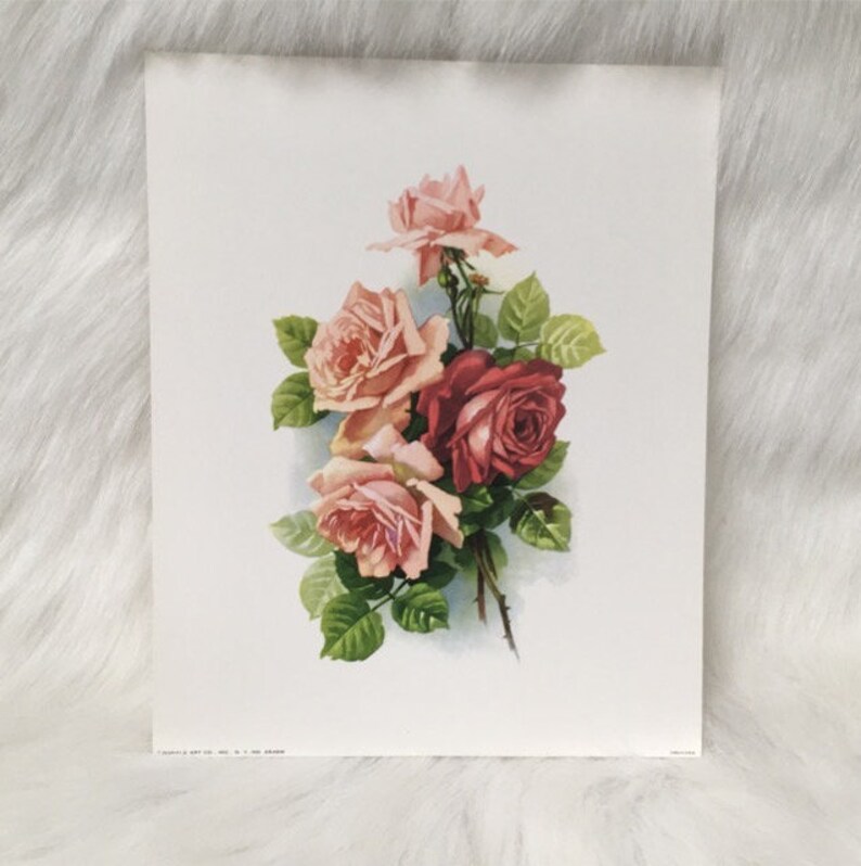 Vintage Rose Print