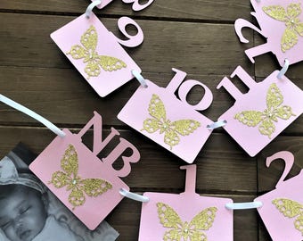 Butterfly 1st Birthday Photo Banner: Pink & Gold Glitter, Newborn to 12 Months