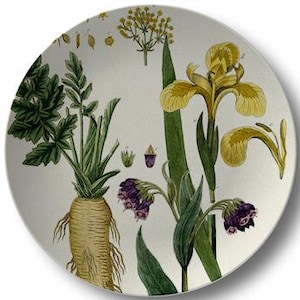 Vintage Botanical Dinner Plate, Indoor/Outdoor Dinnerware, Floral Dining Plates, Summer Tableware, Picnic Dishware #10085