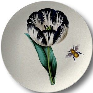 Botanical Dinner Plates, Indoor/Outdoor Dinnerware, Colorful Floral Dishes, 10 Inch Dining Plates #10020